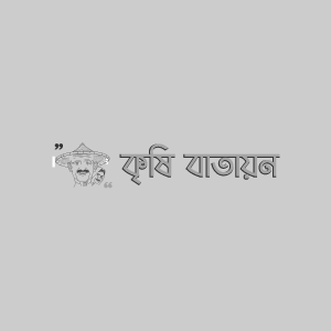 বার্লির লিফ ব্লচ রোগ